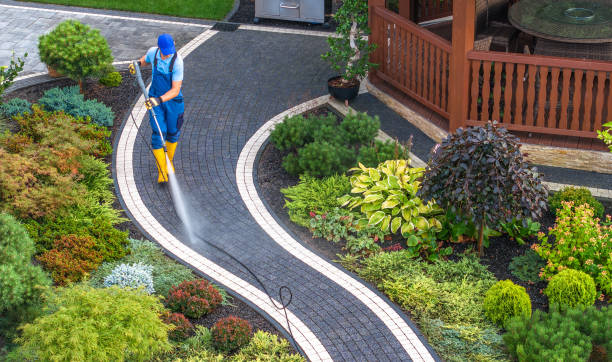 Best Roof Pressure Washing  in Trainer, PA